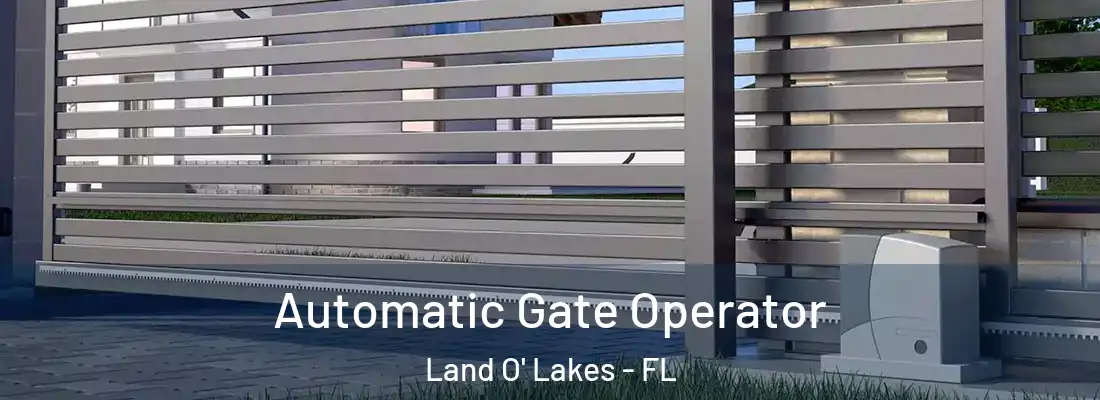  Automatic Gate Operator Land O' Lakes - FL