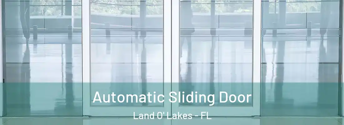  Automatic Sliding Door Land O' Lakes - FL