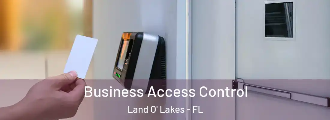  Business Access Control Land O' Lakes - FL