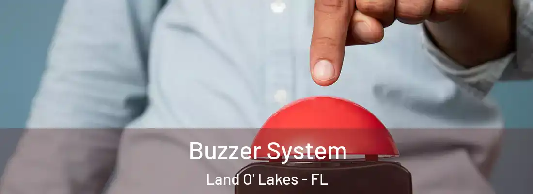  Buzzer System Land O' Lakes - FL