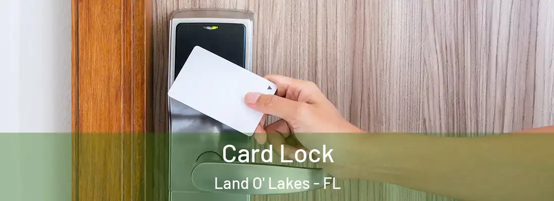 Card Lock Land O' Lakes - FL