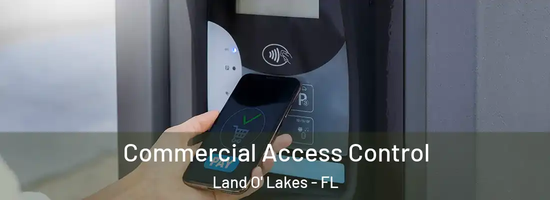 Commercial Access Control Land O' Lakes - FL