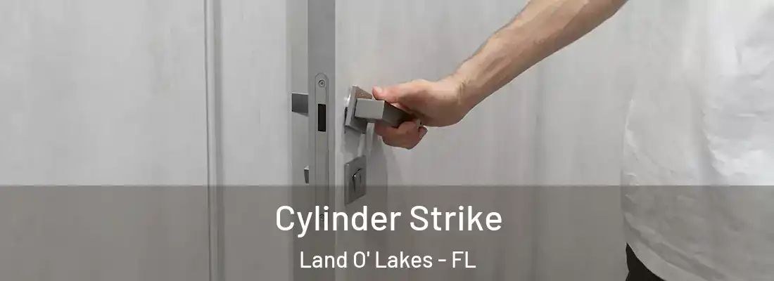  Cylinder Strike Land O' Lakes - FL