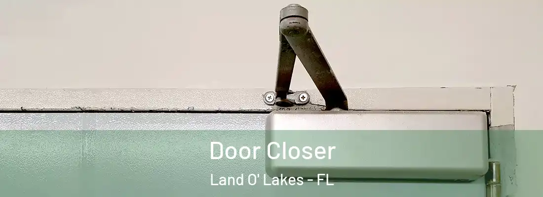  Door Closer Land O' Lakes - FL