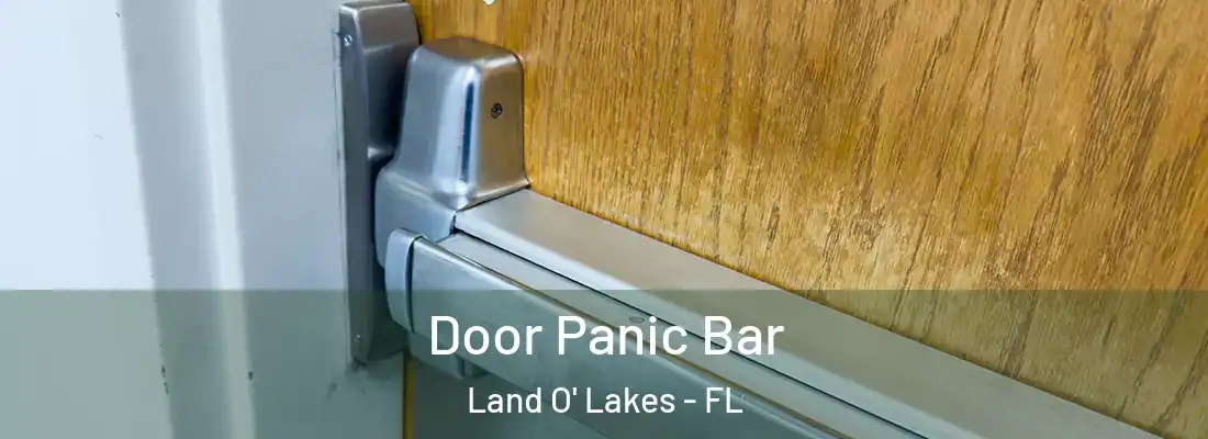 Door Panic Bar Land O' Lakes - FL