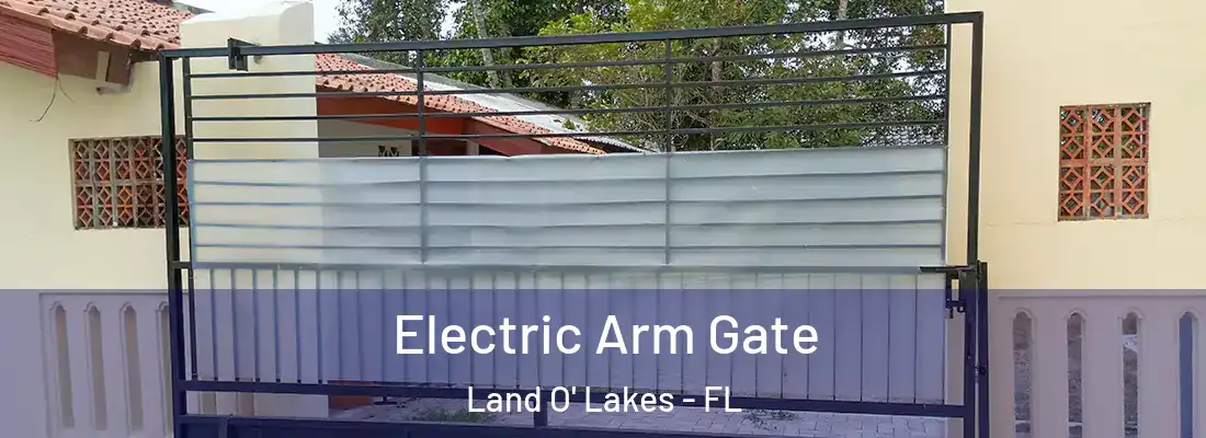  Electric Arm Gate Land O' Lakes - FL