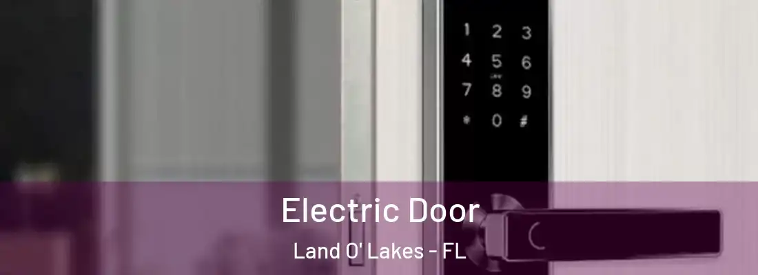  Electric Door Land O' Lakes - FL