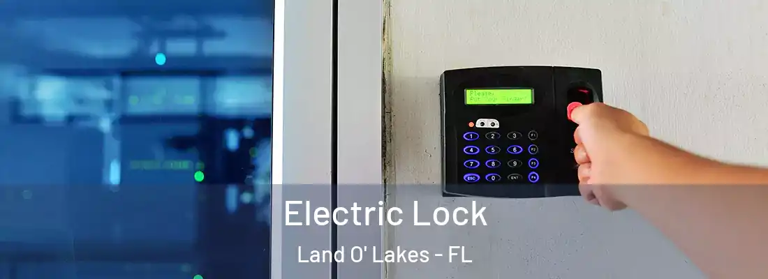  Electric Lock Land O' Lakes - FL
