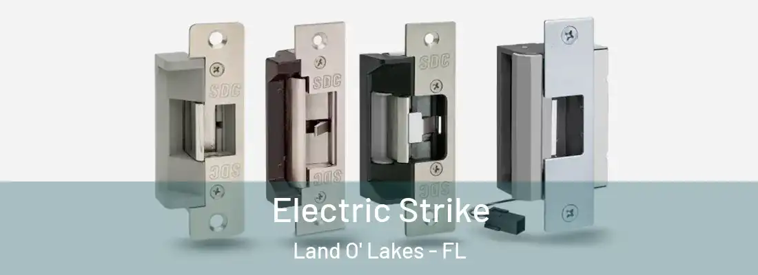  Electric Strike Land O' Lakes - FL
