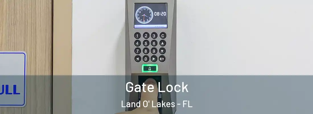 Gate Lock Land O' Lakes - FL