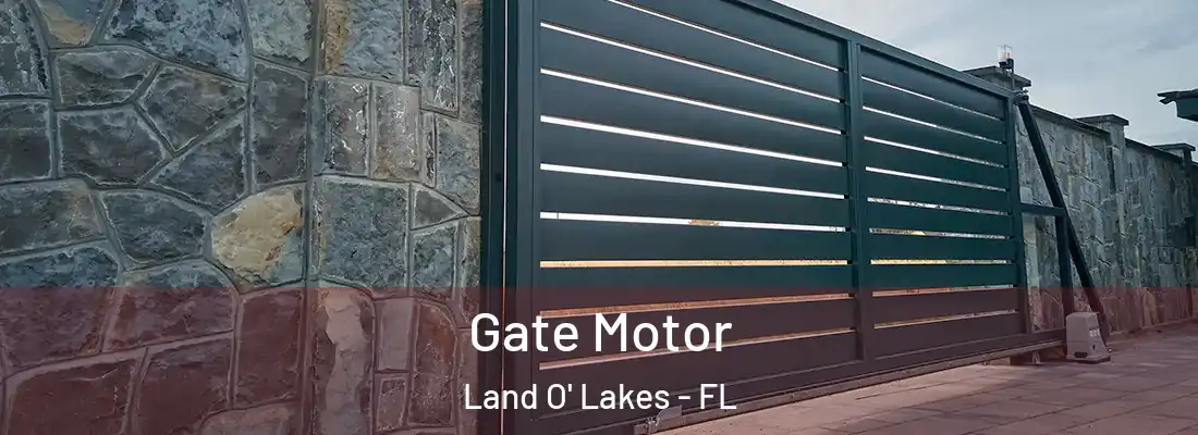 Gate Motor Land O' Lakes - FL