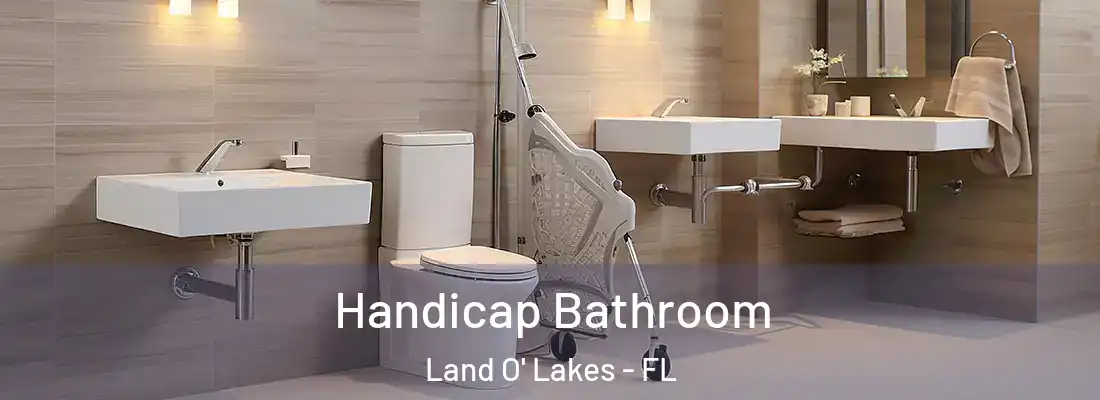  Handicap Bathroom Land O' Lakes - FL