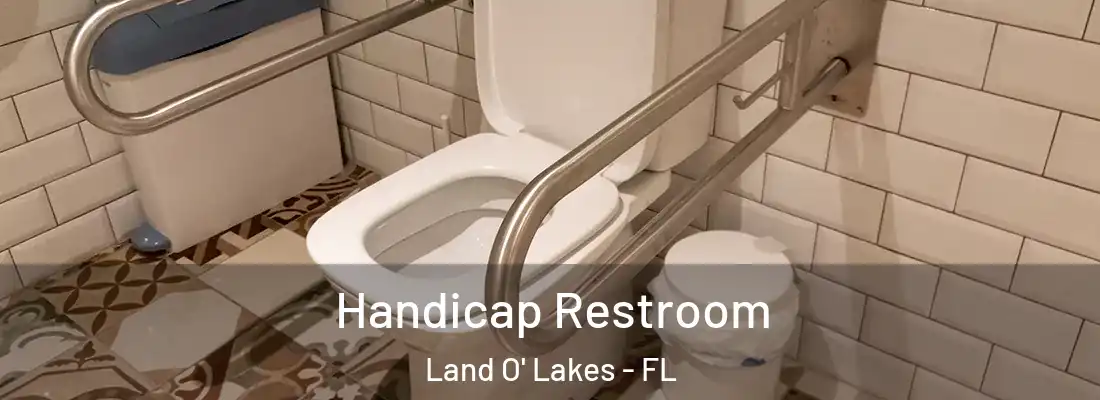  Handicap Restroom Land O' Lakes - FL