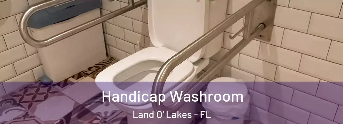  Handicap Washroom Land O' Lakes - FL
