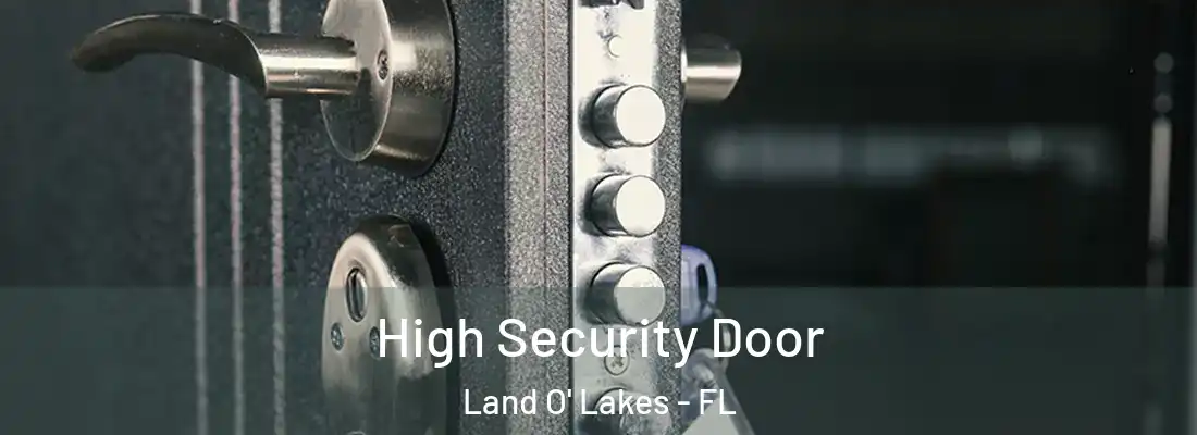  High Security Door Land O' Lakes - FL