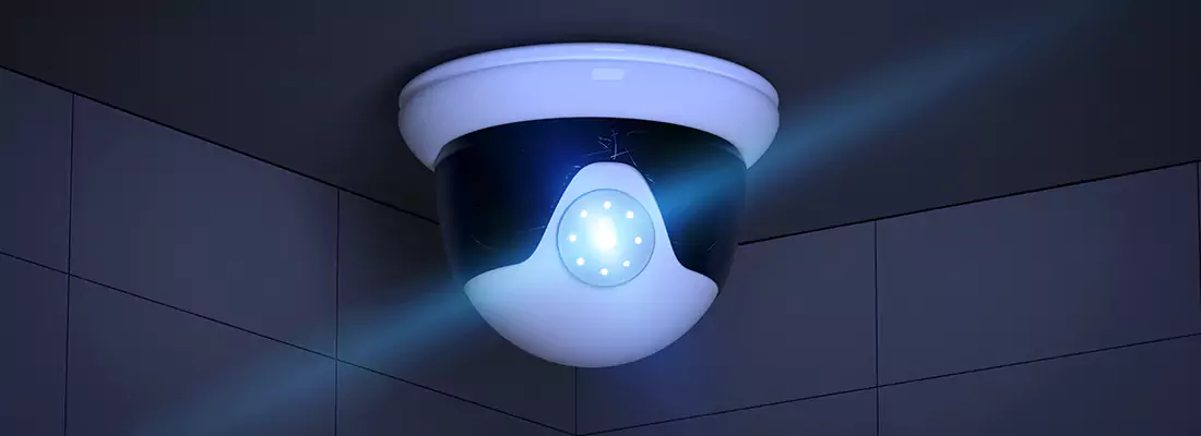 Affordable Night Vision CCTV Camera Services in Land O' Lakes, FL