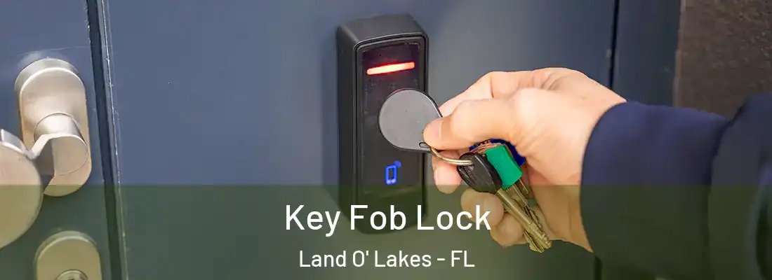 Key Fob Lock Land O' Lakes - FL