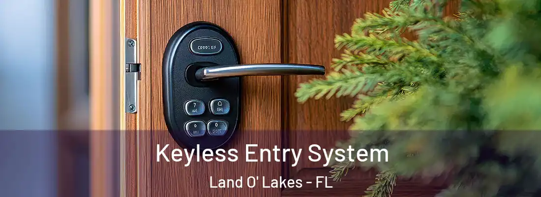  Keyless Entry System Land O' Lakes - FL