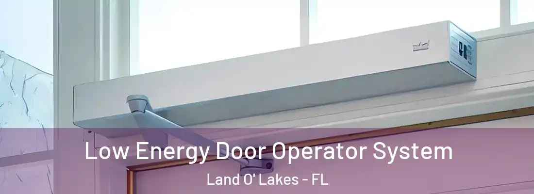  Low Energy Door Operator System Land O' Lakes - FL