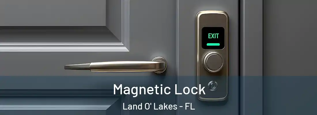  Magnetic Lock Land O' Lakes - FL