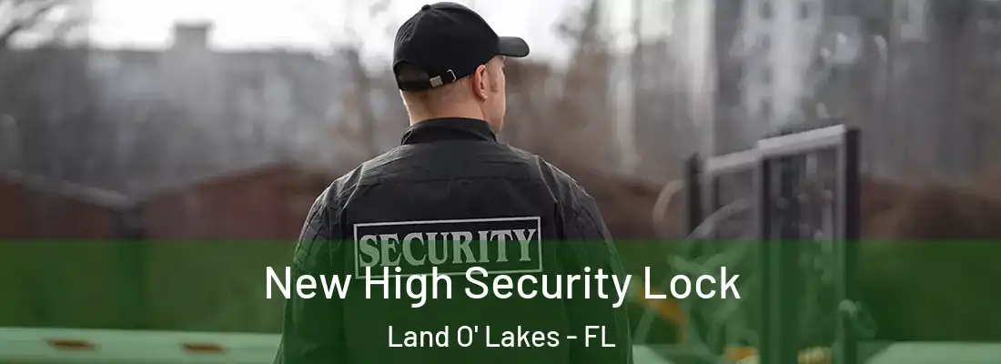  New High Security Lock Land O' Lakes - FL