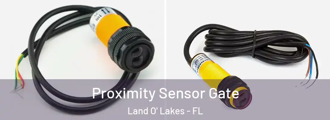  Proximity Sensor Gate Land O' Lakes - FL
