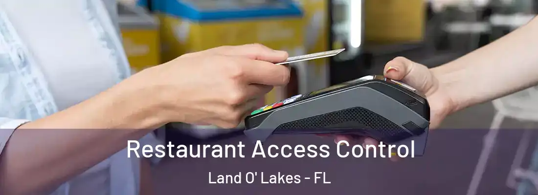 Restaurant Access Control Land O' Lakes - FL