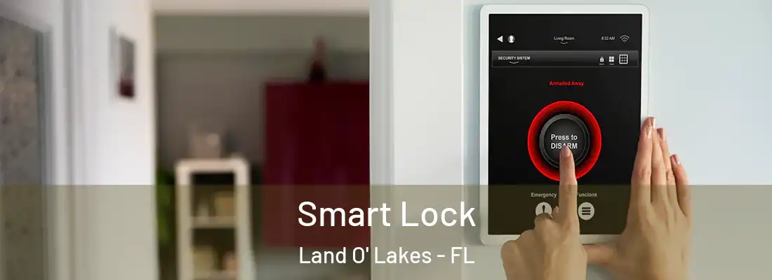 Smart Lock Land O' Lakes - FL