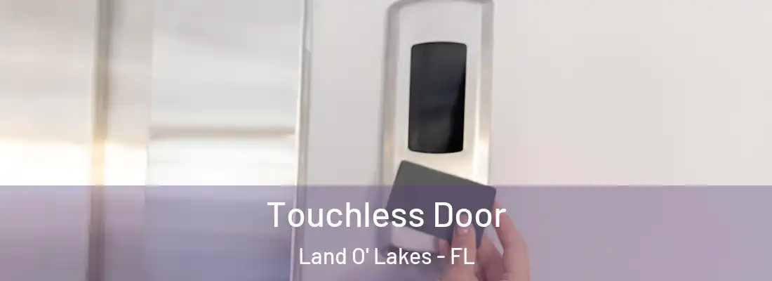Touchless Door Land O' Lakes - FL